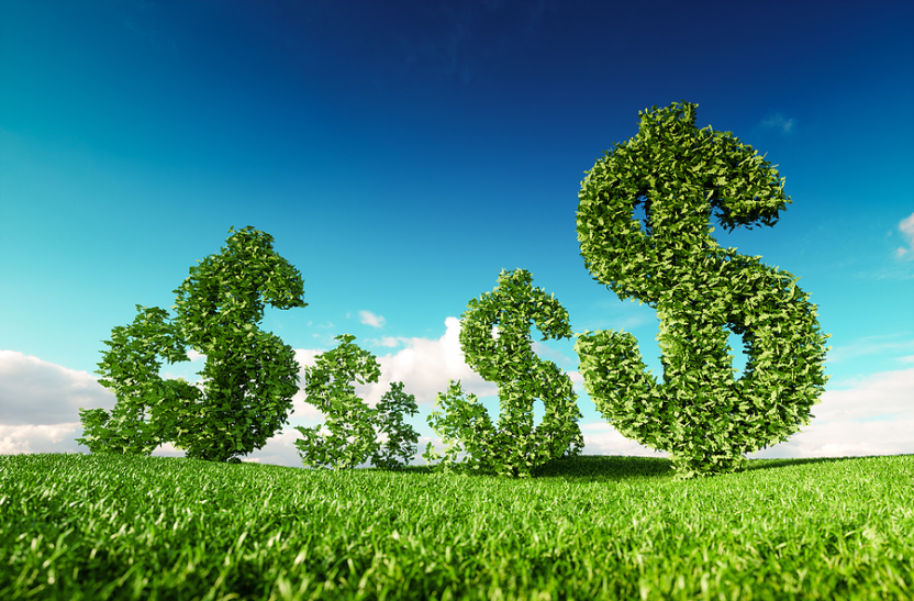 Navigating Listed Non-Bank Digital Lenders - Vimarsana News