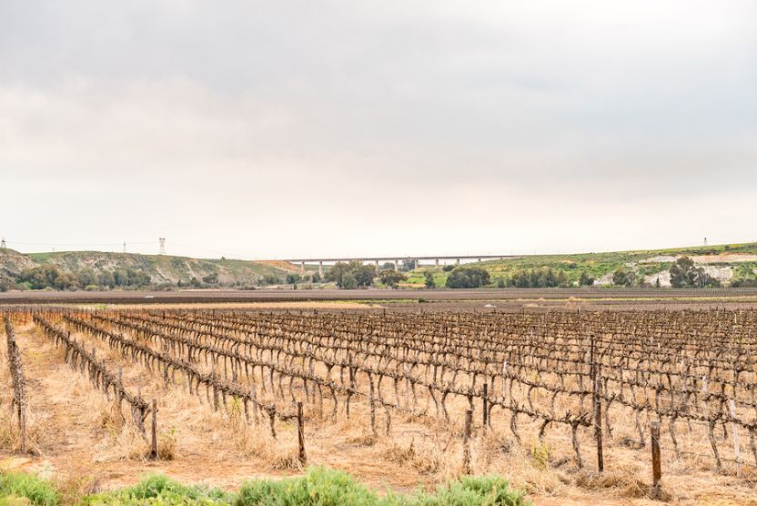 ESG Focus: Australian Wine And Climate Change - Vimarsana News