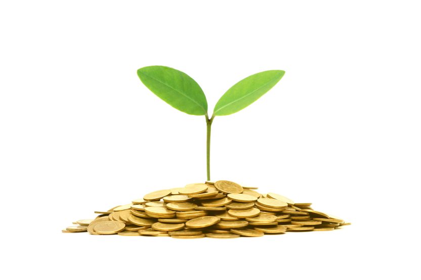 ESG Focus: Taxes, COP and Biodiversity Schemes - Vimarsana News