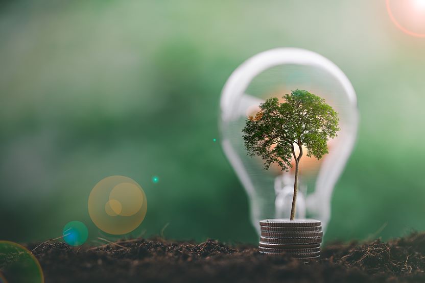 ESG Focus: Eye On Green Energy - Vimarsana News