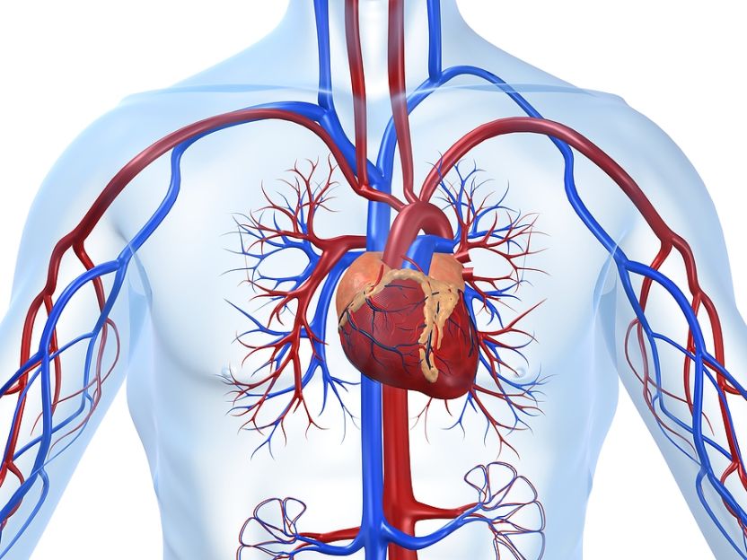 Dr Boreham's Crucible: Argenica Therapeutics - Vimarsana News