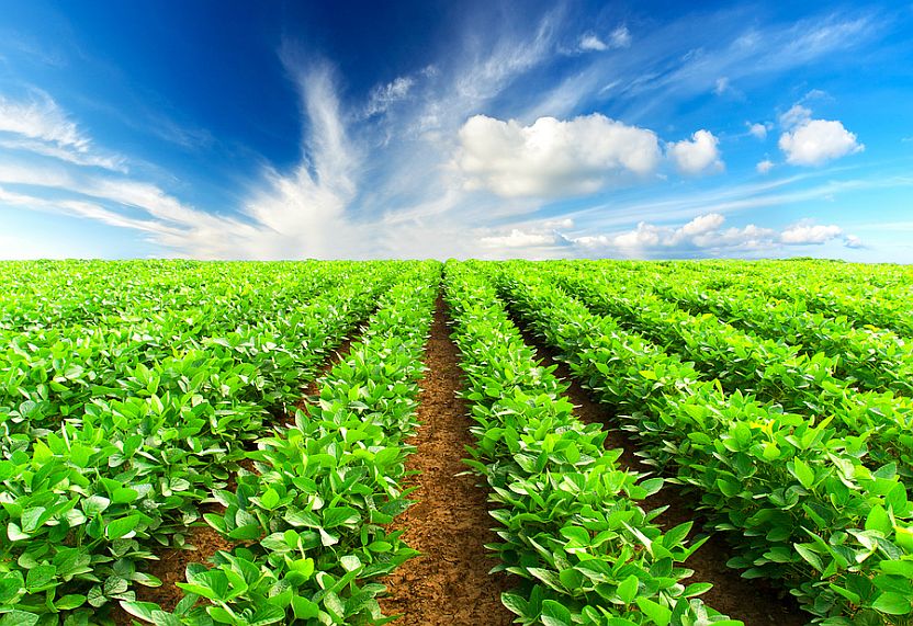 Australia's Agricultural Industry Diversifies - Vimarsana News